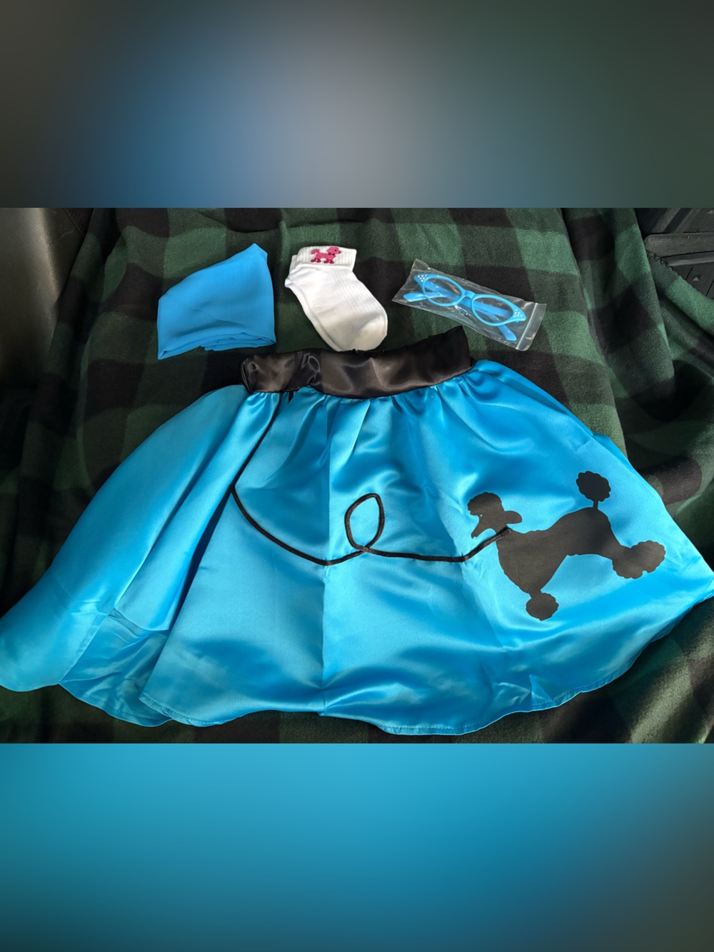 Blue Poodle Skirt Kids Costume with Accessories